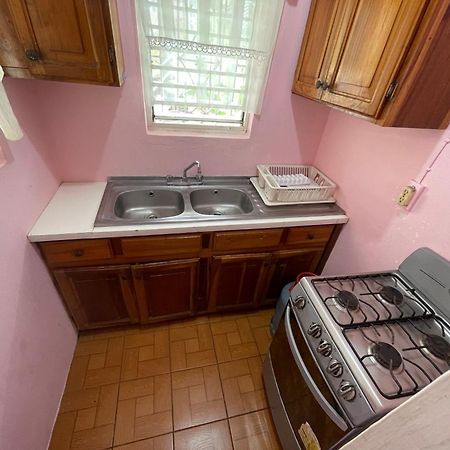 Little Shaw Park Guest House オーチョ・リオス エクステリア 写真