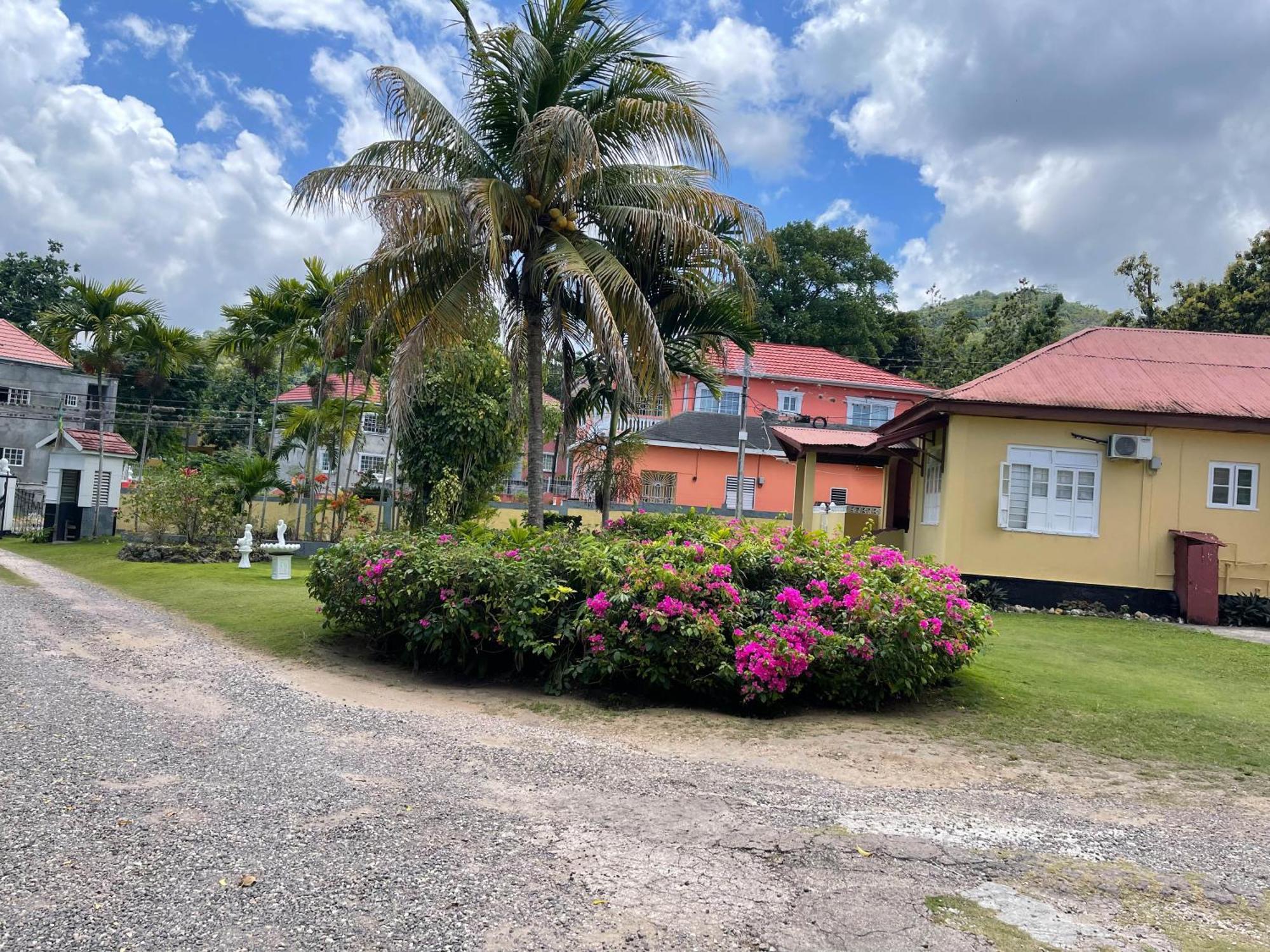 Little Shaw Park Guest House オーチョ・リオス エクステリア 写真