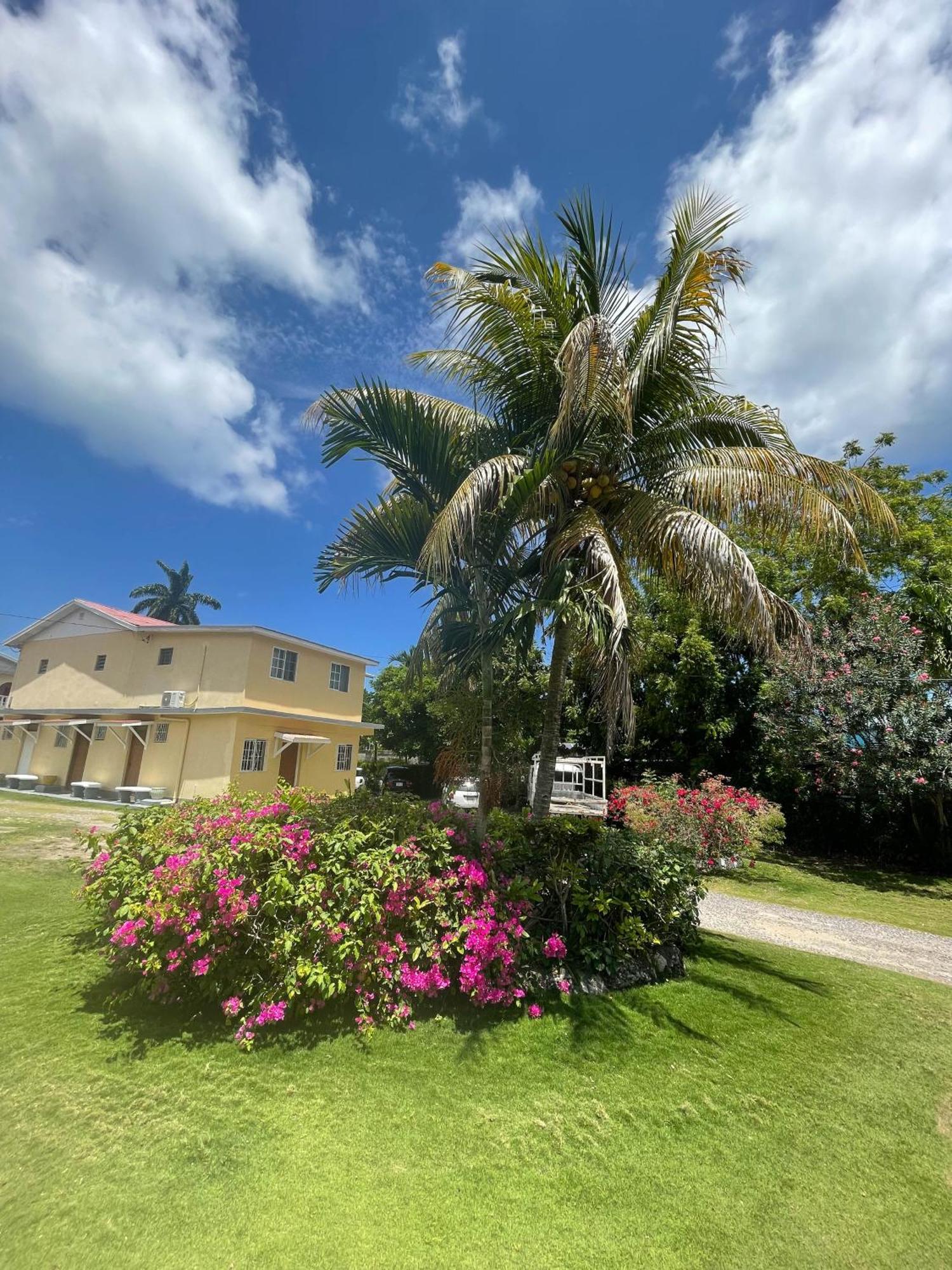 Little Shaw Park Guest House オーチョ・リオス エクステリア 写真